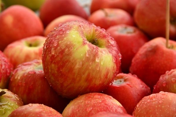 Línea de envasado de alimentación con codificador industrial