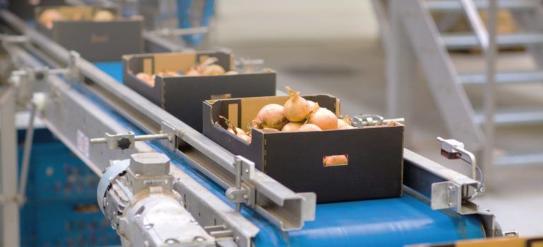 11 claves para optimizar la línea de empaquetado en el sector alimenticio