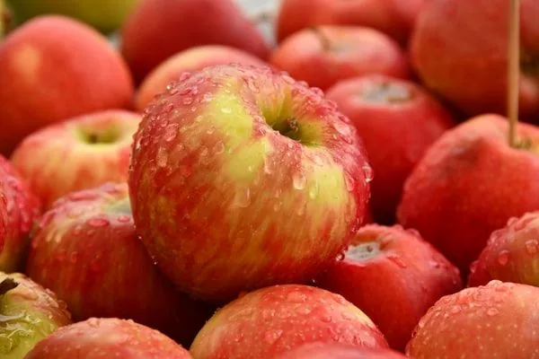 Codificación sector alimentación y bebidas